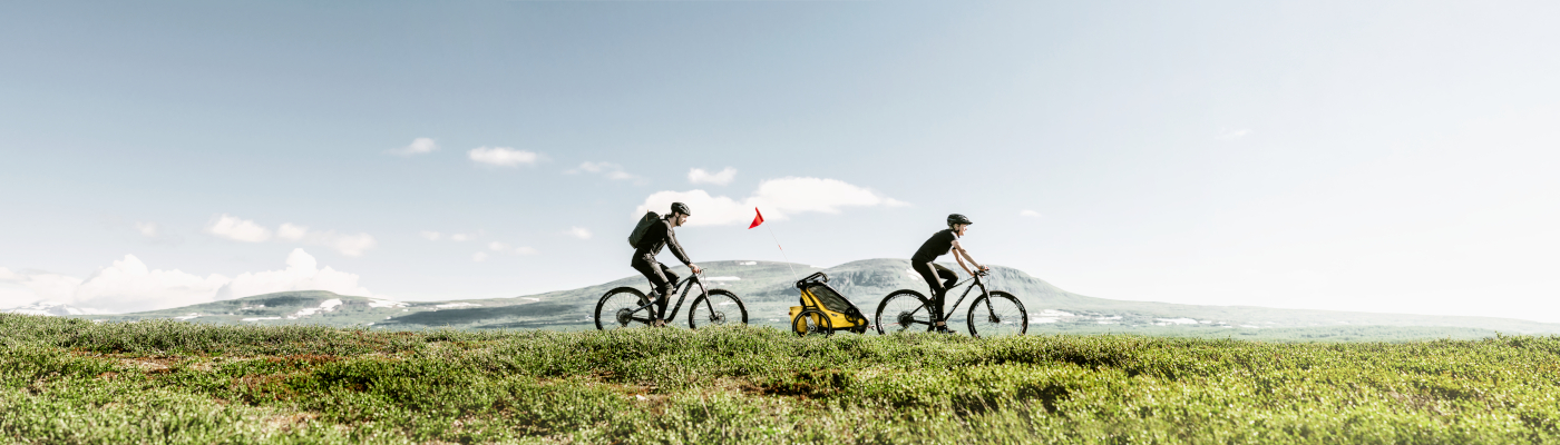 Promos REMORQUES VÉLO Magasin 44 Promos REMORQUES VÉLO Magasin -Promos REMORQUES VÉLO Magasin 4