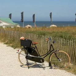 Panier Arrière Tressé Pour Vélo Weave WP Basil 13 Panier Arrière Tressé Pour Vélo Weave WP Basil -Promos REMORQUES VÉLO Magasin panier arriere tresse pour velo weave wp basil full 6