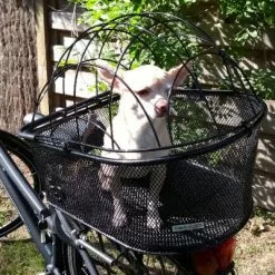 Maxxus Panier Vélo Pour Petit Chien En Acier Sur Porte Bagages -Promos REMORQUES VÉLO Magasin panier velo pour petit chien en acier sur porte bagages full 4