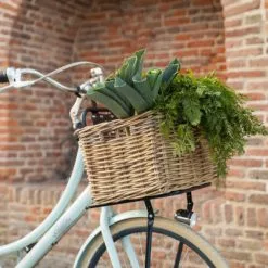 Porte-bagages Avant Pour Vélos De 20 à 24 Pouces Steco 9 Porte-bagages Avant Pour Vélos De 20 à 24 Pouces Steco -Promos REMORQUES VÉLO Magasin porte bagages avant pour velos de 20 a 24 pouces steco full 4