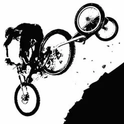 Carry Freedom Remorque Pour Vélo Y-Frame Large 2.2 -Promos REMORQUES VÉLO Magasin remorque pour velo y frame large 2 2 full 4