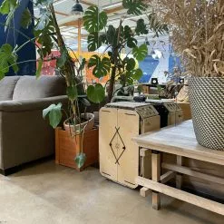 Remorque Vélo Convertible Coffre Arca 2306 Carette -Promos REMORQUES VÉLO Magasin remorque velo carette arca 7