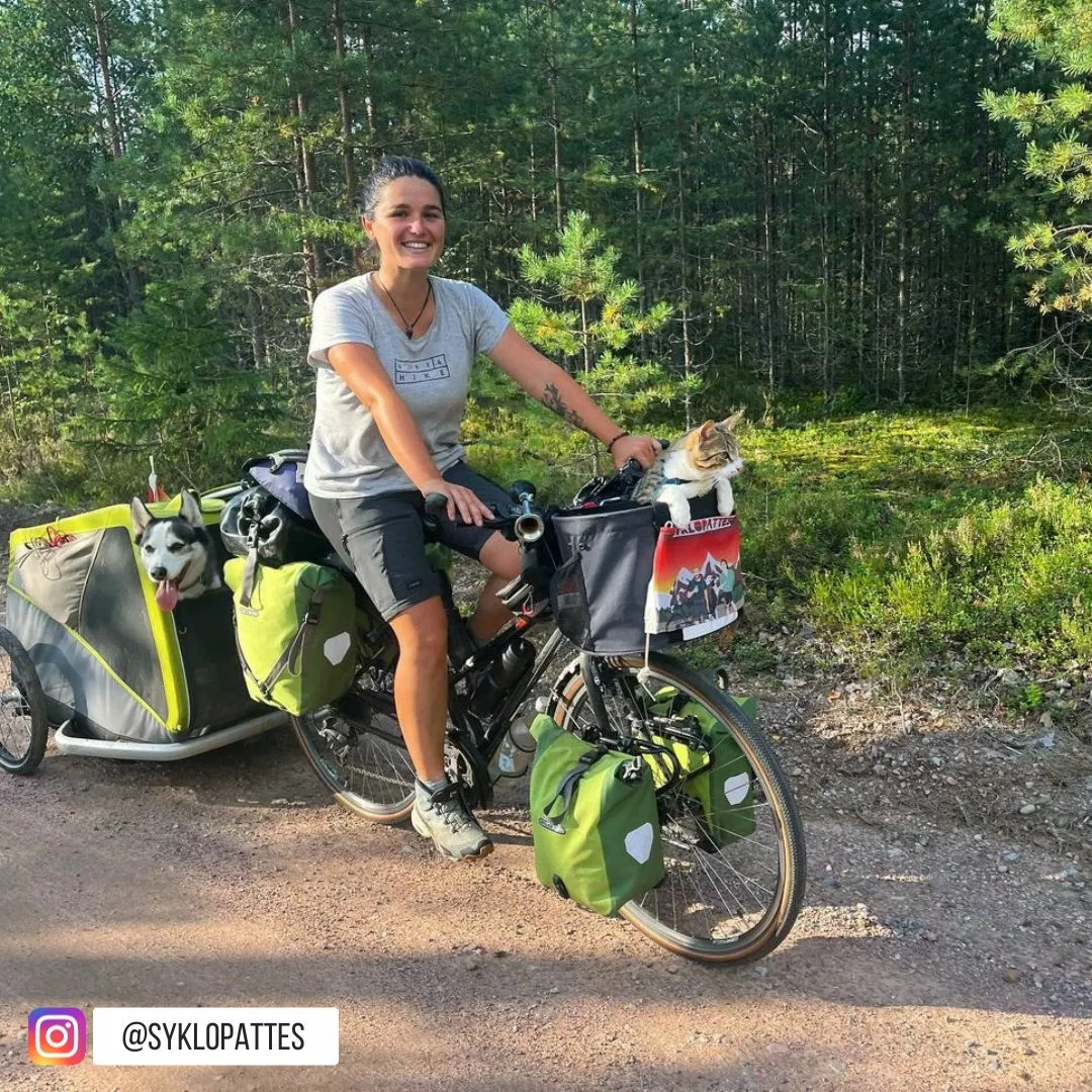 Sac De Vélo Pour Chien Doggy - KLICKfix 8 Sac De Vélo Pour Chien Doggy - KLICKfix – Image 6